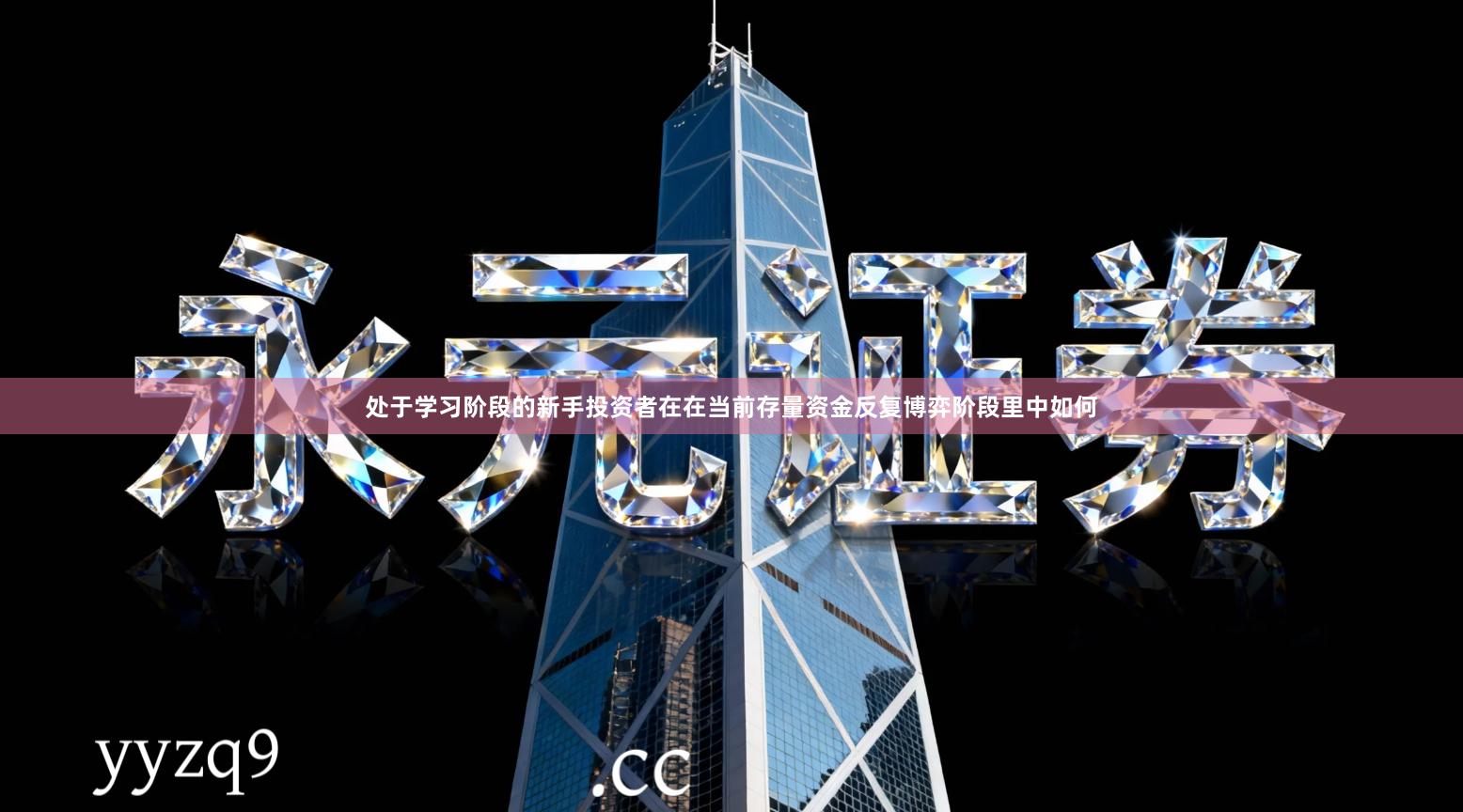 处于学习阶段的新手投资者在在当前存量资金反复博弈阶段里中如何